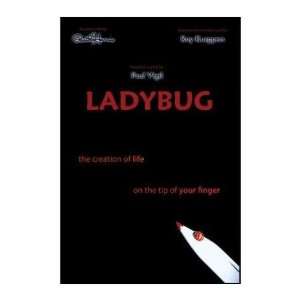  Lady Bug 