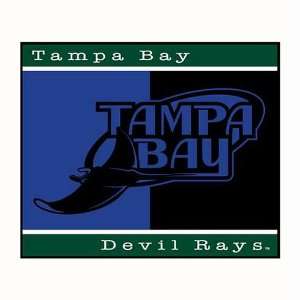  Biederlack Tampa Bay Devil Rays All Star Throw Sports 