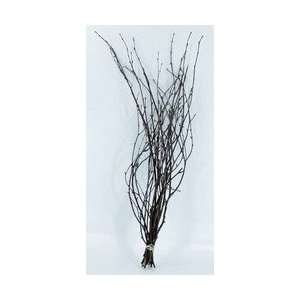  Dried Floral Supplies birch branch natural 15 stems 28 