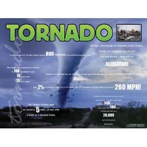  Series, Set of 8 LAMINATED Posters. Drought, Hurricane, Blizzard 