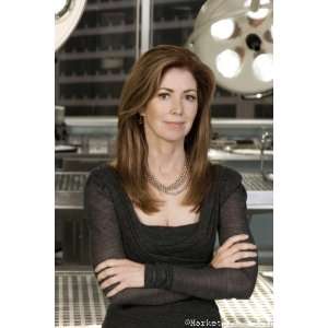  Body Of Proof Poster 24x36in dana delaney