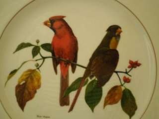 Rare Complete Set of 12 Spode American Songbirds Plates by Ray Harm 