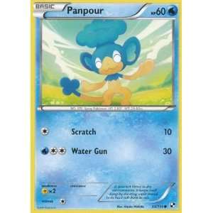  Pokemon   Panpour (33)   Black and White Toys & Games