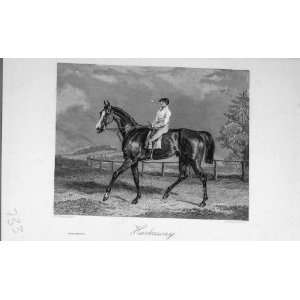  BailyS Magazine 1896 Sport Horse Harkaway Jockey Print 