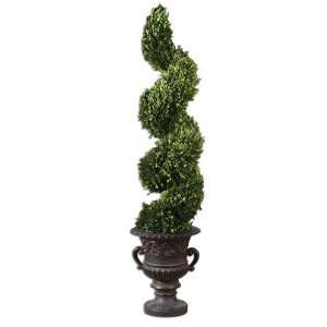   , Preserved Boxwood Spiral Topiary, Botanicals