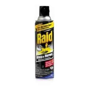  Raid Wasp & Hornet Killer Spray 14oz Patio, Lawn & Garden
