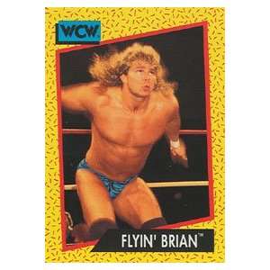   Impel Wrestling Trading Card #56  Brian Pillman