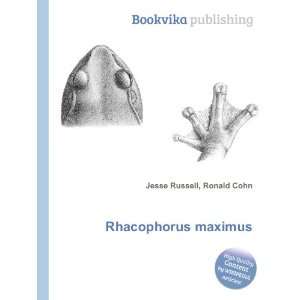 Rhacophorus maximus Ronald Cohn Jesse Russell Books
