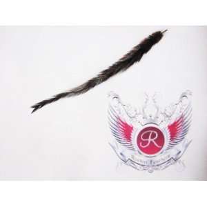   Grizzly Hair Extension Feather (Brown/Black) Long Length Beauty