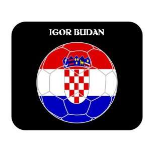  Igor Budan (Croatia) Soccer Mouse Pad 