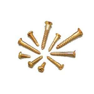  Brass Plated 1 1/2inch Large Wood Screws