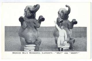CIRCUS Elephant TAMER Broncho Bill old 1910s postcard  