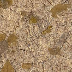 Thai Mulberry & Leaf Paper  Dark Forest 25x37 Inch Sheet 