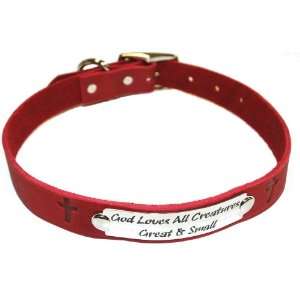Auburn Leather 41 8158 91 Ark Survivor Series Red 1 X 24 Collar with 