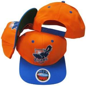  California State Fullerton Titans Mascot Orange/Blue Two 