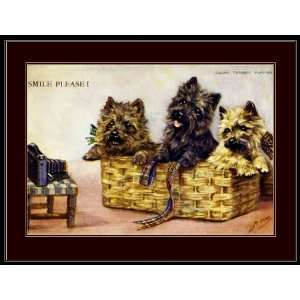    Picture Print Cairn Terrier Puppy Dogs Art 