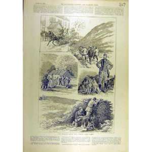  1892 Sudeley Grouse Moor Vyrnwy Wales Sport Print