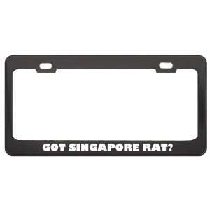Got Singapore Rat? Animals Pets Black Metal License Plate Frame Holder 