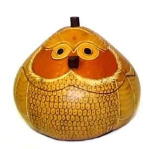  Owl Gourd Box ~ 5.5 Inch