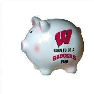 Memory Company Wisconsin Badgers Born to Be Piggy Bank  