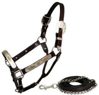 SM Engraved Silver Bar Gold Overlay Leather Show Halter w/Lead   Horse 