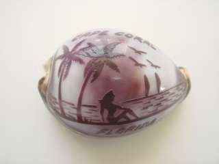 CAPE CORAL HAND CARVED COWRIE SEA SHELL BEACH DECOR  