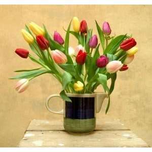 Send Fresh Cut Flowers   30 Assorted Tulips