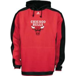 Kids Chicago Bulls Dream Hooded Sweatshirt Sports 