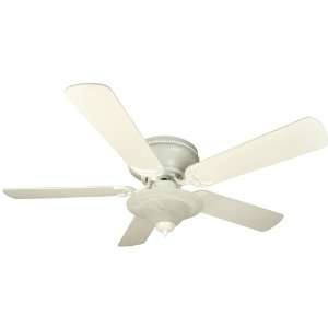   Options Five Blade Modern Ceiling Fan with Custom Blade Options C