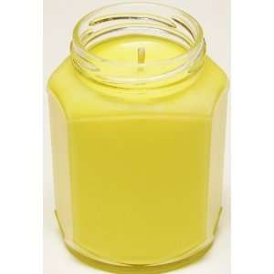    2 Pack 12 oz Oval Hex Soy Candle   Chardonnay 
