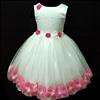 Christening Wedding PROM PINK Flowe Girls Dress SZ 3 4T  