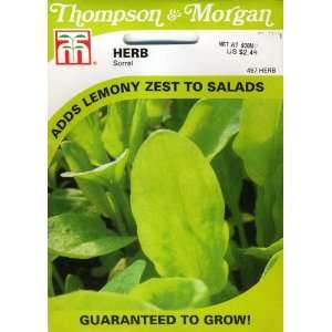  Thompson & Morgan 497 Herb Sorrel (Rumex acetosa ) Seed 