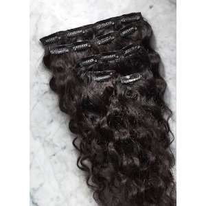  Curly Indian Remy Clip On Hair Extensions (5 piece set 