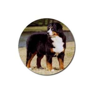 Bernese Mountain Dog Rubber Round Coaster (4 pack)  