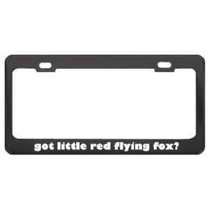 Got Little Red Flying Fox? Animals Pets Black Metal License Plate 