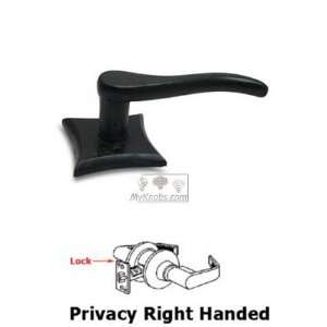     privacy right handed curved lever with concave