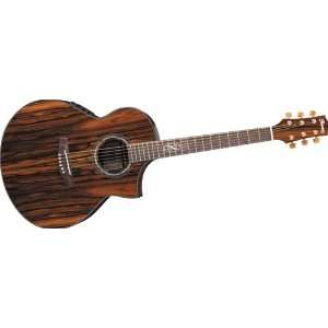  Ibanez Exotic Wood Series EW40CBE Acoustic Electric Guitar 