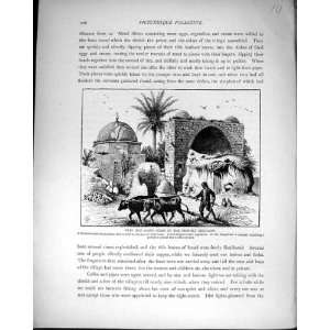  Palestine 1881 Neby Ben Yamin Tomb Prophet Benjamin Ox 