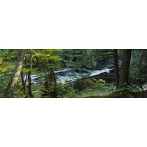  Flowing through the Forest, Presque Isle River, Porcupine Mountains 