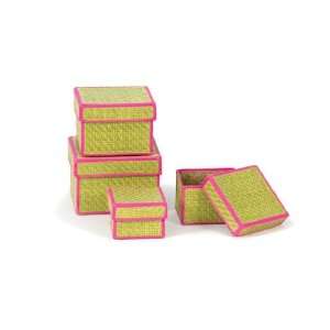  Square Palm Leaf Box Set of 4 in Lime Green and Pink