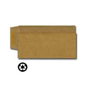  #10 Bag Kraft Policy Envelope (4 1/8 x 9 1/2) (Pkg of 10 
