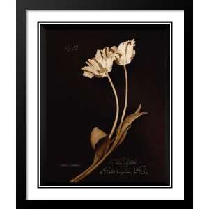  D Schommer Framed and Double Matted Print 20x23 Tulip 