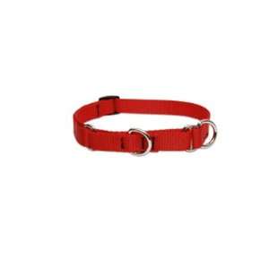  Durable 3/4 Solid Nylon Martingale Dog Collar   19 27 Inch 
