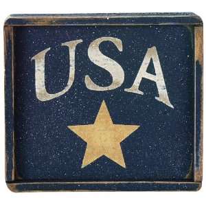  Patriotic Art   USA w/star