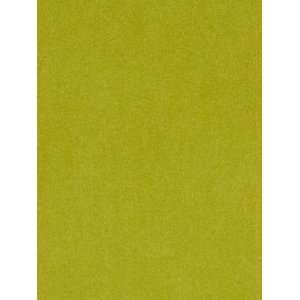    Luxesuede Kiwi by Robert Allen Fabric Arts, Crafts & Sewing