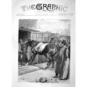  1894 Race Horse Objecting Train Carriage Transport