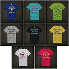 NWT HOLLISTER 2012 PREMIUM GRAPHIC SeaScape T shirt Mens S, M, L, XL 