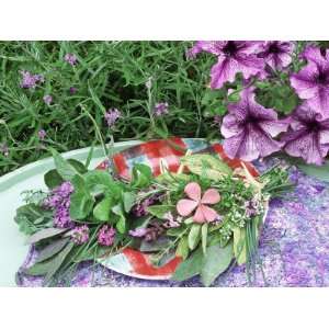  Herbs in Pots on Green & Blue Tiles, Thyme, Sage Lemon 
