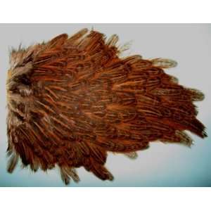  Soft Hackle Hen Saddle Patches