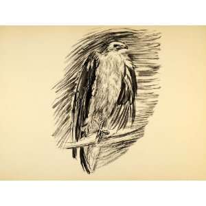  1944 Print Bald Eagle Watercolor Ernst Denzler Wildlife 
